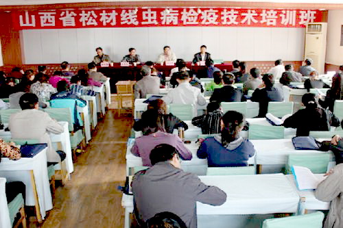 �����ɲľ��x���Ό�헌W(xu��)��(x��)����Ӗ(x��n)